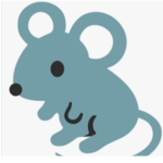 RATS & MICE