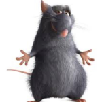 Cool half rat kids