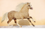 ~ ~ *NWPA* Lesson Group! ~