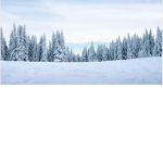 Winter-Land-Water