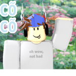 CÕCÕ