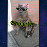 The gangsters -_-