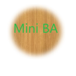 Mini BA