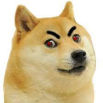 Evil Doge Cult