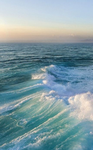Emmas ocean