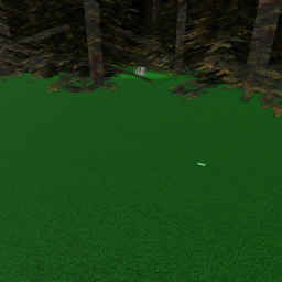 The forest.....