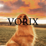 Vorix Clothing