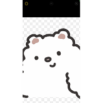 Cloudii teddy bears