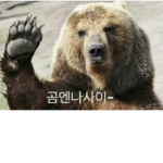 Korea Armyㅣ대한민국 육군