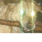 Family of scout