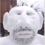 Djungleskög