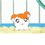 Happy hamsters!