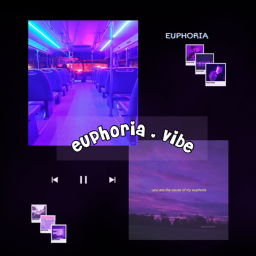 eurphoria . vibe