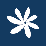 TN l Air Tahiti Nui