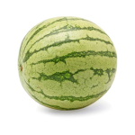 the Watermelon Division of GeneralWatermelano
