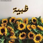 ظبيه قيمز