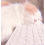 Islem Chaton