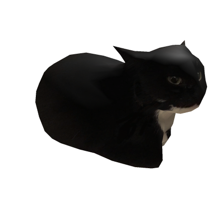 Котик 