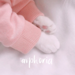 avphoria