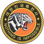 ROKA︱707th Special Mission Group