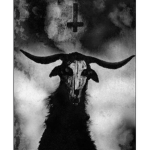 Zozo Cult