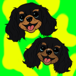 King Cavalier OFFICAL