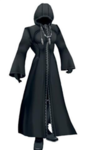 Organization XIII- A group of Nobodies