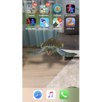 Pokémon Geilo Schiggy Gruppe
