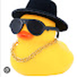 dduck Incorporated