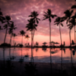 Hangout Place | Group
