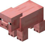 The Great Pig Union