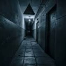 the corridors.