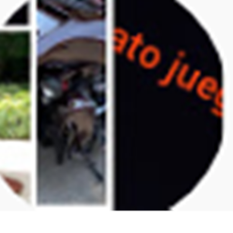 ROBLOX PATILOLOLOKO Y MATE's Place Number: 1