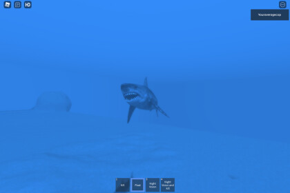 Great white shark test