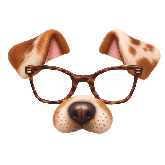 Dog Face Filter
