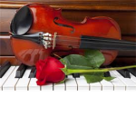 pianoist,violinist and singers