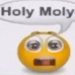 sponge to the fishy