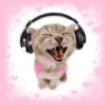 ⋆ ˚｡⋆ ୨୧˚ ⋆