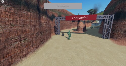 Sonic Speed Racing!