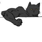 Tuff Cats