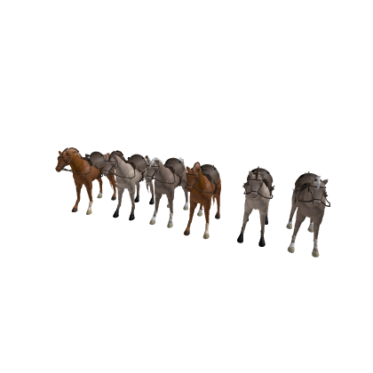 Horses