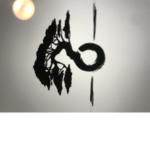 Evolve Martial Arts