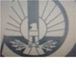 Hunger Games DISTRICTS 1-12