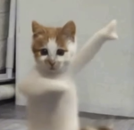 CriistopherAlex