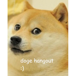Doge Hangout!