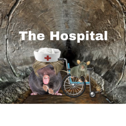 Hospital **Sewer And Hospital Update!**