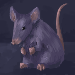 [beta] rat game