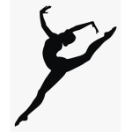 Twilight Stars Gymnastics (TSG)