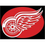 Detroit Redwings hockey team