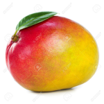 Mango Of the life